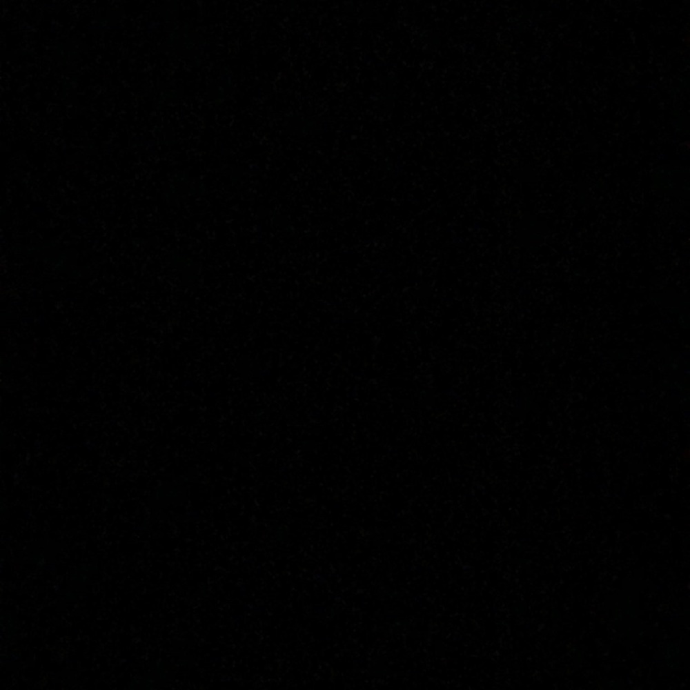 Meet your Posher, Gianna